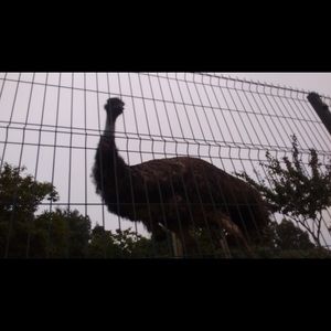 Meet your Posher, Leonor